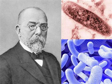 robert koch colera