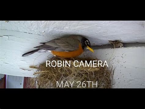 robin camera feehan gf