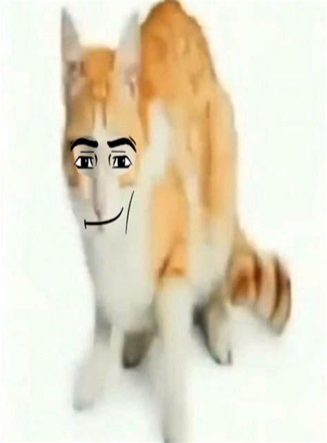 roblox face on cat