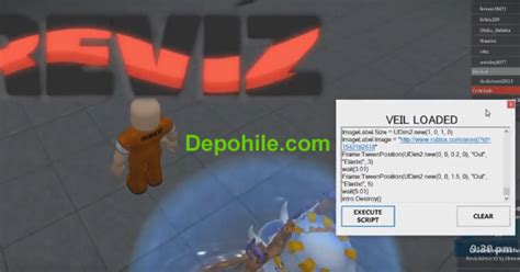 roblox hack veil