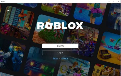 Roblox Installation in Progress