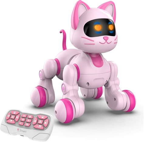 Robot To Play With Cat