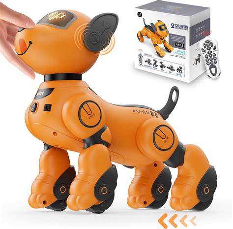 Robot To Play With Dog
