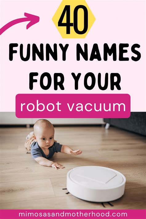 Robot Vacuum Names Funny