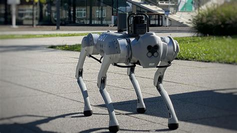 Robotic Guide Dogs