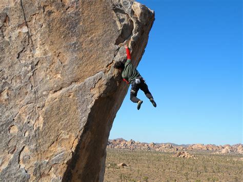 Rock Climbing On Tree