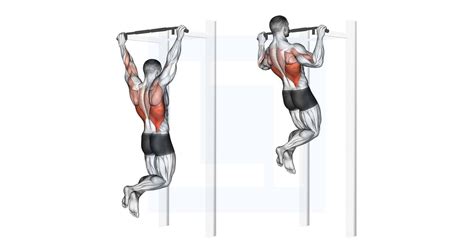 Rock Climbing Pull Ups