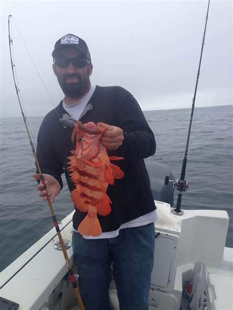 Rock Fish Charters