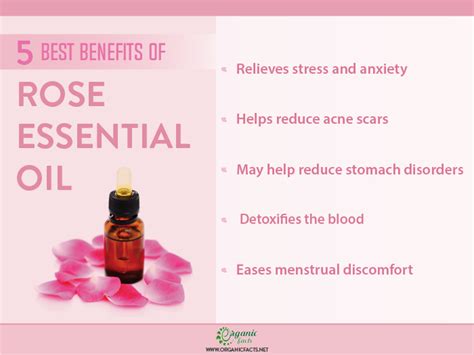 rock rose essential oil benefits
