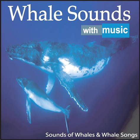 rock songs about whales