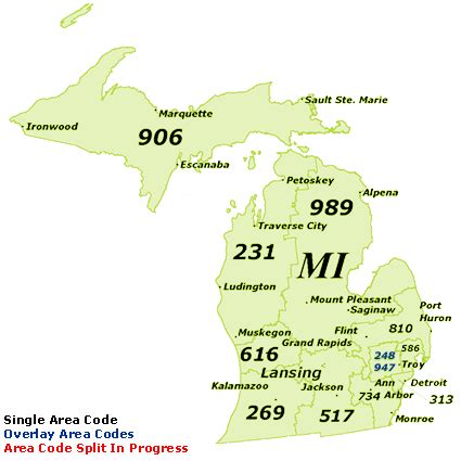 Rockford Mi Area Code