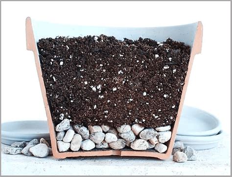 rocks for plant pot drainage