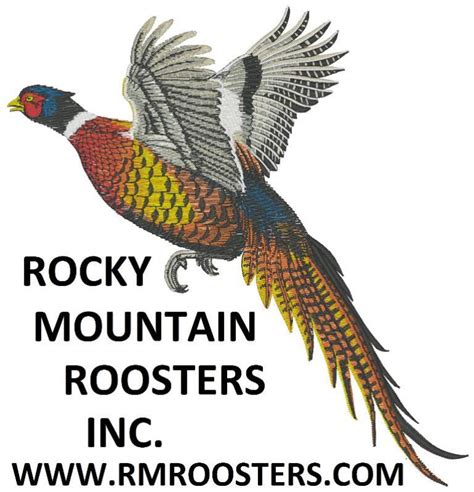 rocky mountain roosters colorado springs