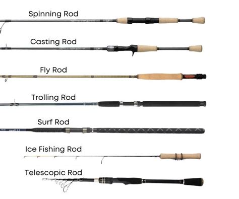 Rod Types Of Fishing