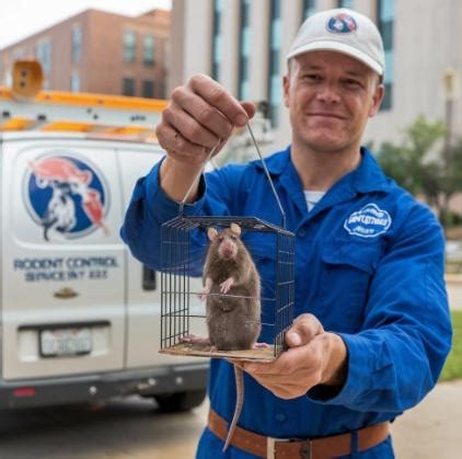 Rodent Control San Antonio