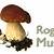 rogers mushrooms app android