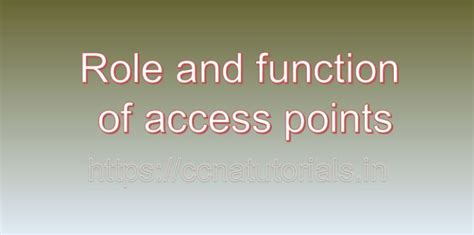 role and function of access points