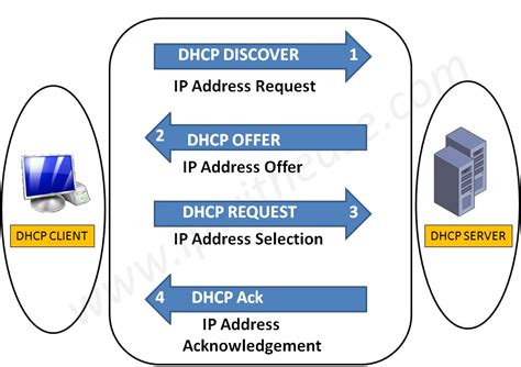 role of dhcp server