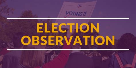 role of election observers