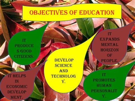 Role of Government in Education