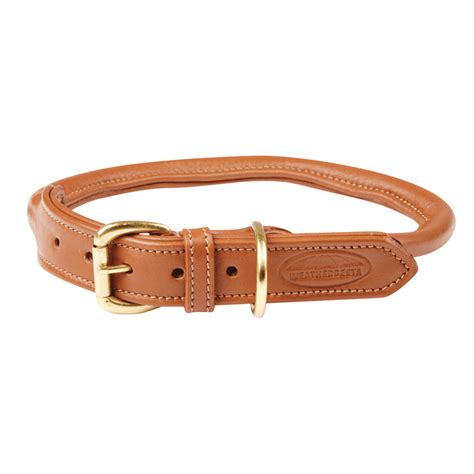 rolled leather dog collars uk