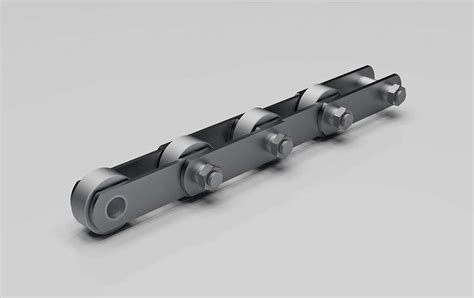 Roller Chain With Extended Pins