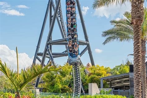 Roller Coaster Cost To Build