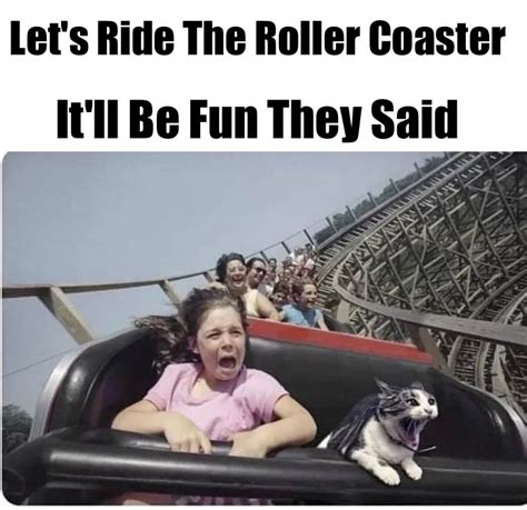 [Image 145614] Roller Coaster Chess Know Your Meme