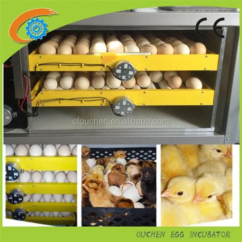 Roller Type Eggshell