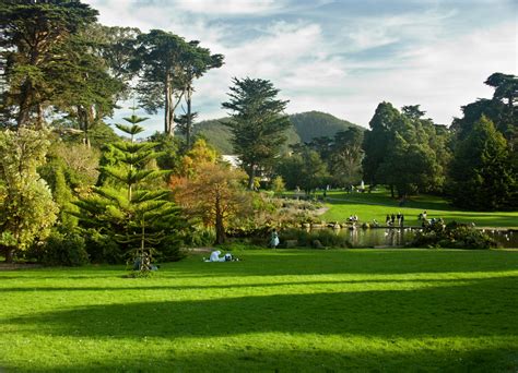 rolling Golden Gate Park