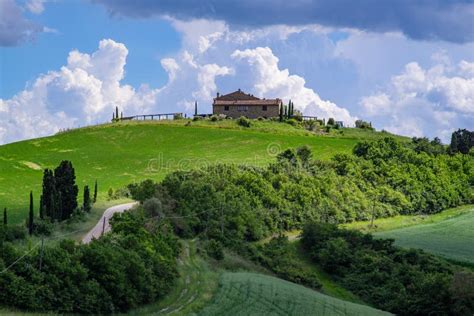 Rolling Hills of Tuscany
