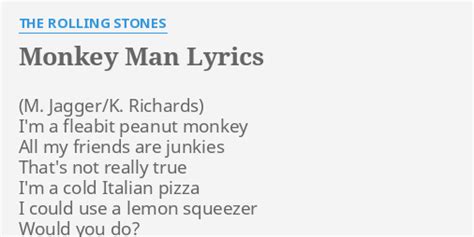 rolling stones monkey man lyrics meaning