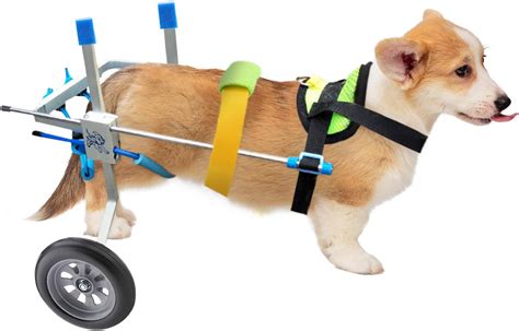 Rollstuhl Für Hunde Kaufen
