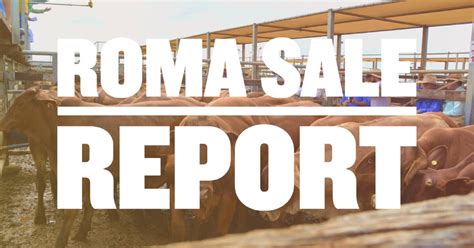 roma cattle sale report