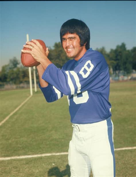 roman gabriel football player