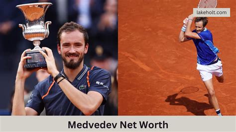 roman medvedev net worth