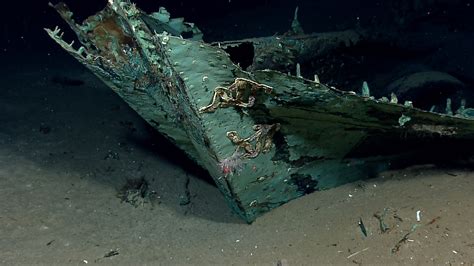 roman shipwreck found in america