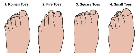 Roman Toes: Ancient Secrets Revealed