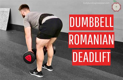 romanian deadlift dumbbells muscles