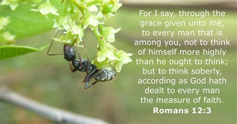 romans 12 3-8 kjv