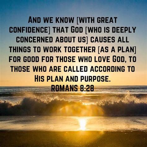 romans 8:28 amplified version