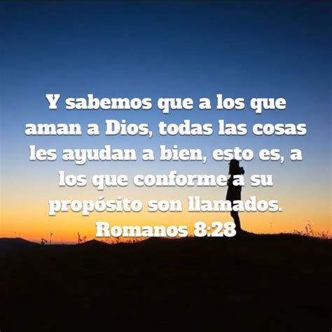 romans 8:28 in spanish