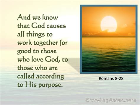 romans 8:28 nasb95