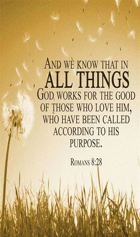 romans 8:28 niv version