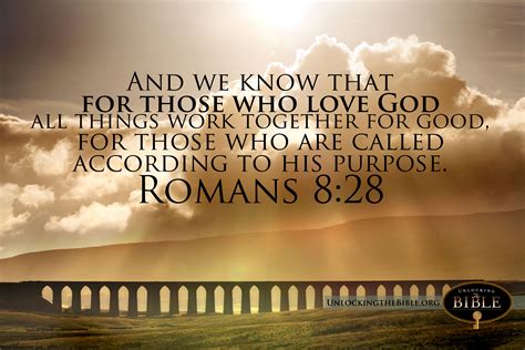 romans 8:28 nlt