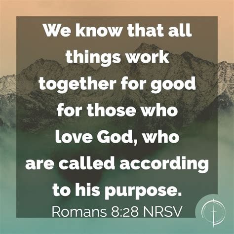 romans 8:28 nrsvue