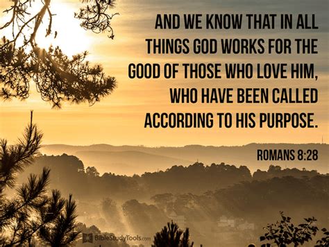 romans 8:28-39 nkjv