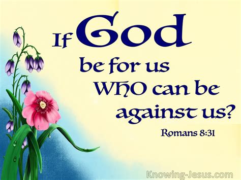 romans 8 28 31 meaning