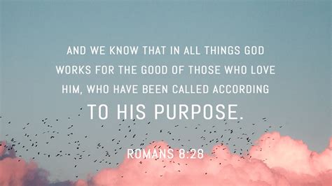 romans 8 28 niv bible