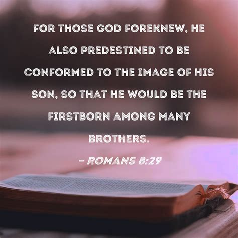 romans 8 29 meaning